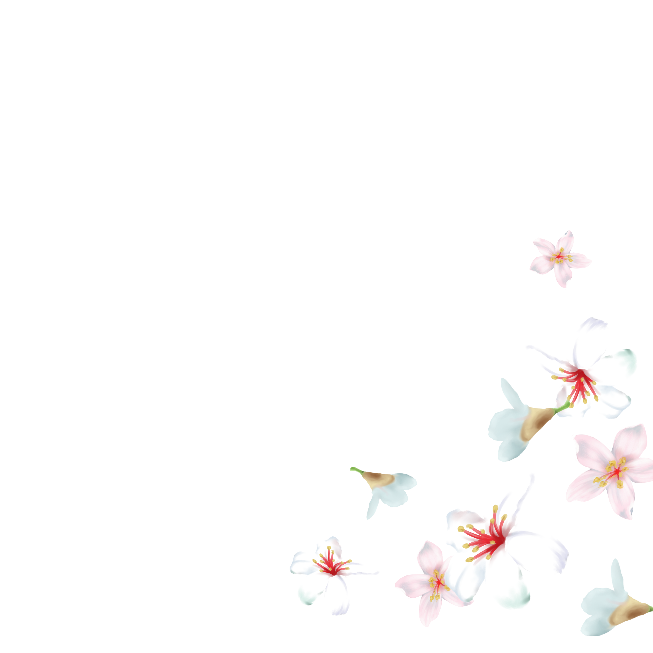 油桐花 62icon